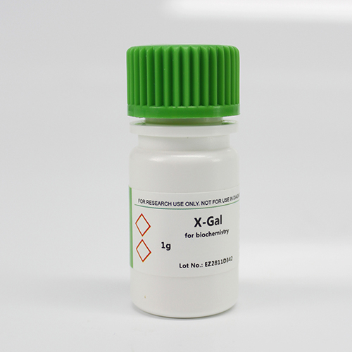 BioFroxx ，1100GR001， 5-溴-4-氯-3-吲哚-beta-D-半乳糖苷X-gal
