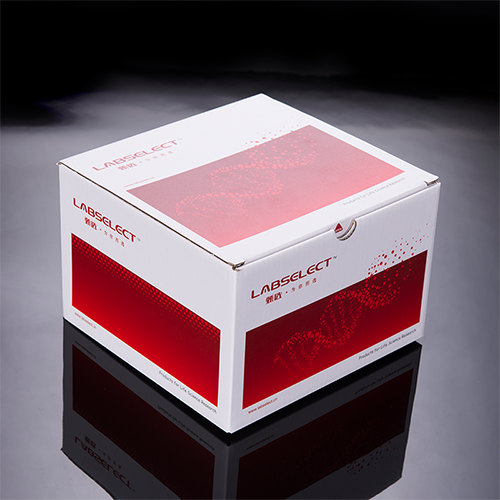 KIT-DNA-50 DNA纯化试剂盒