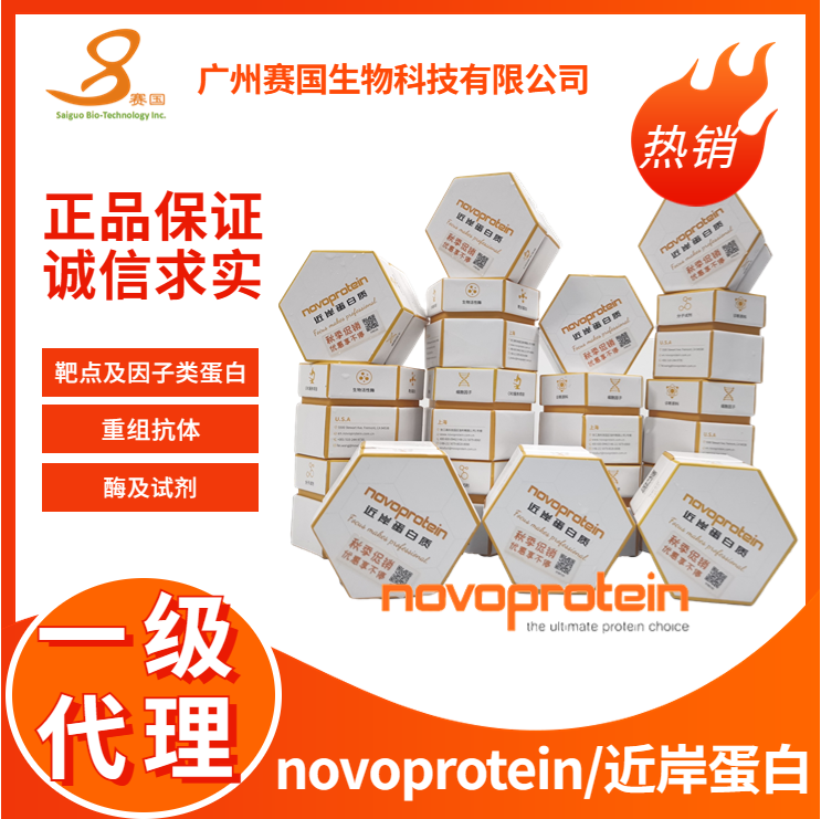 NovoStart SYBR qPCR SuperMix Plus试剂