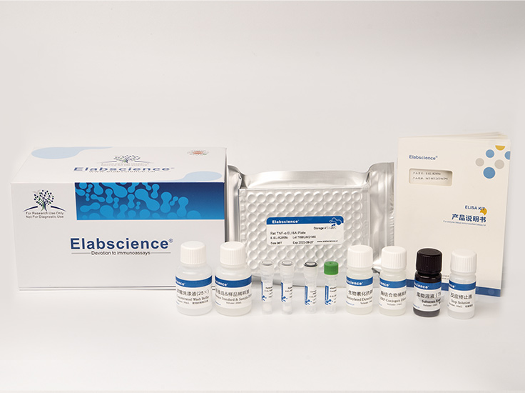 大鼠白介素6(IL-6)酶联免疫吸附测定试剂盒