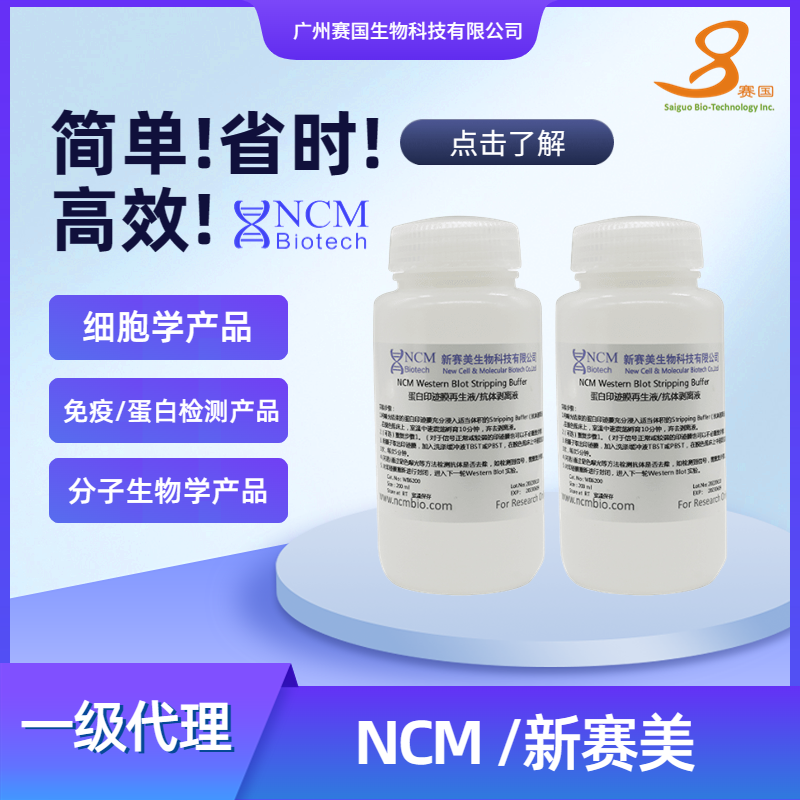 NCM/新赛美 蛋白印迹膜再生液/抗体剥离液-200ml