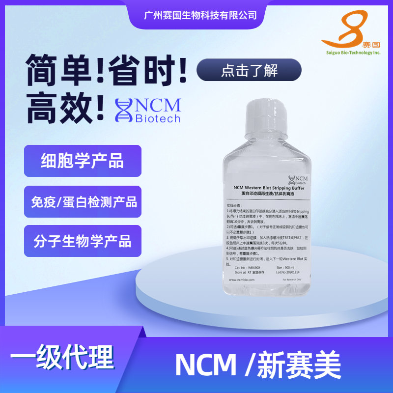 NCM/新赛美 蛋白印迹膜再生液/抗体剥离液-500ml