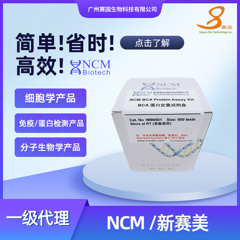 NCM/新赛美 BCA蛋白定量试剂盒