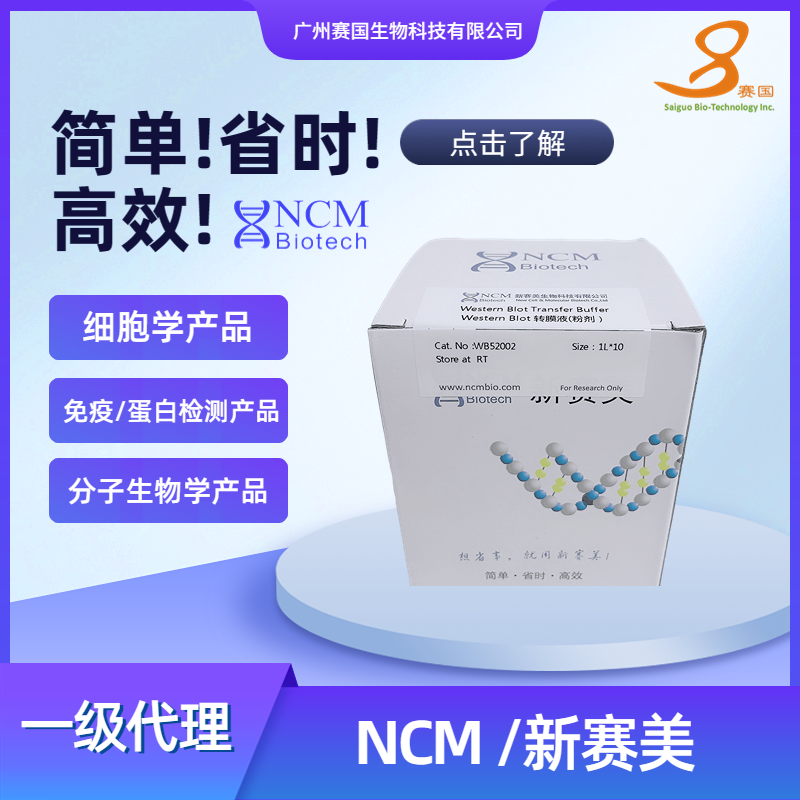 NCM/新赛美 Western Blot 转膜液（粉剂）