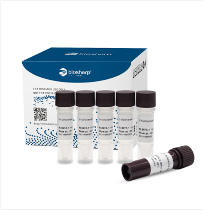BL697A 通用荧光定量PCR试剂盒(ROX单独包装)