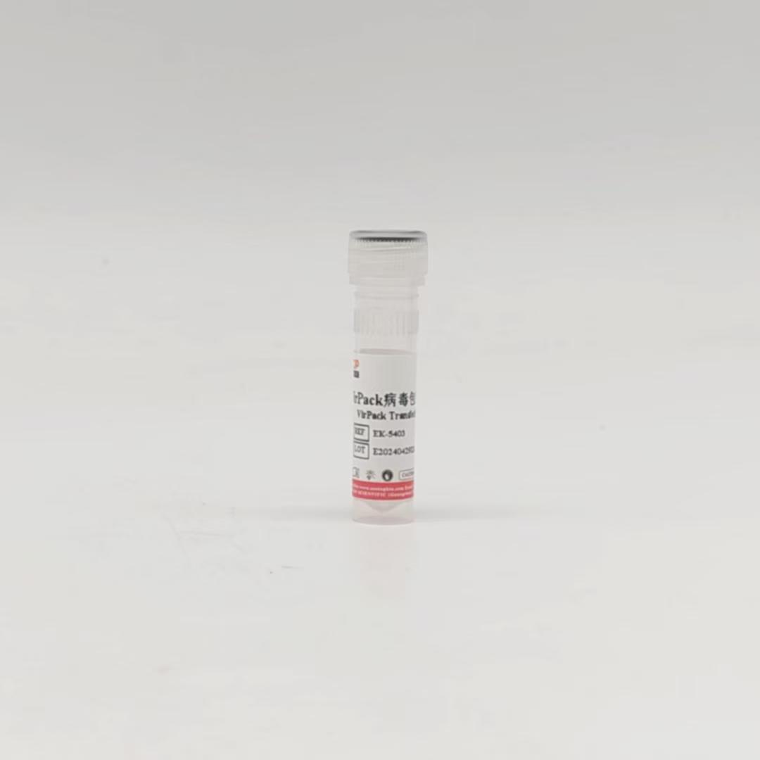 Vipack 病毒包装转染试剂